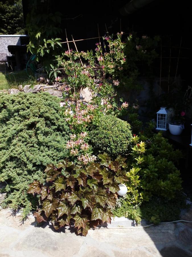 Apartamencik Na Slonecznej Piechowice  Exterior foto