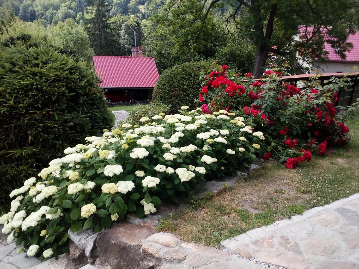 Apartamencik Na Slonecznej Piechowice  Exterior foto